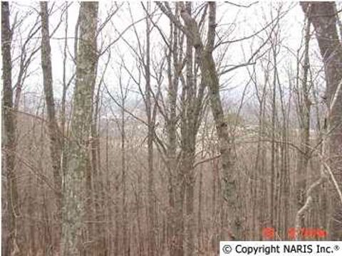 Vacant Land For Sale - 4210 Citadel Rock Road<br/> Dekalb County, Fort Payne, AL 35967