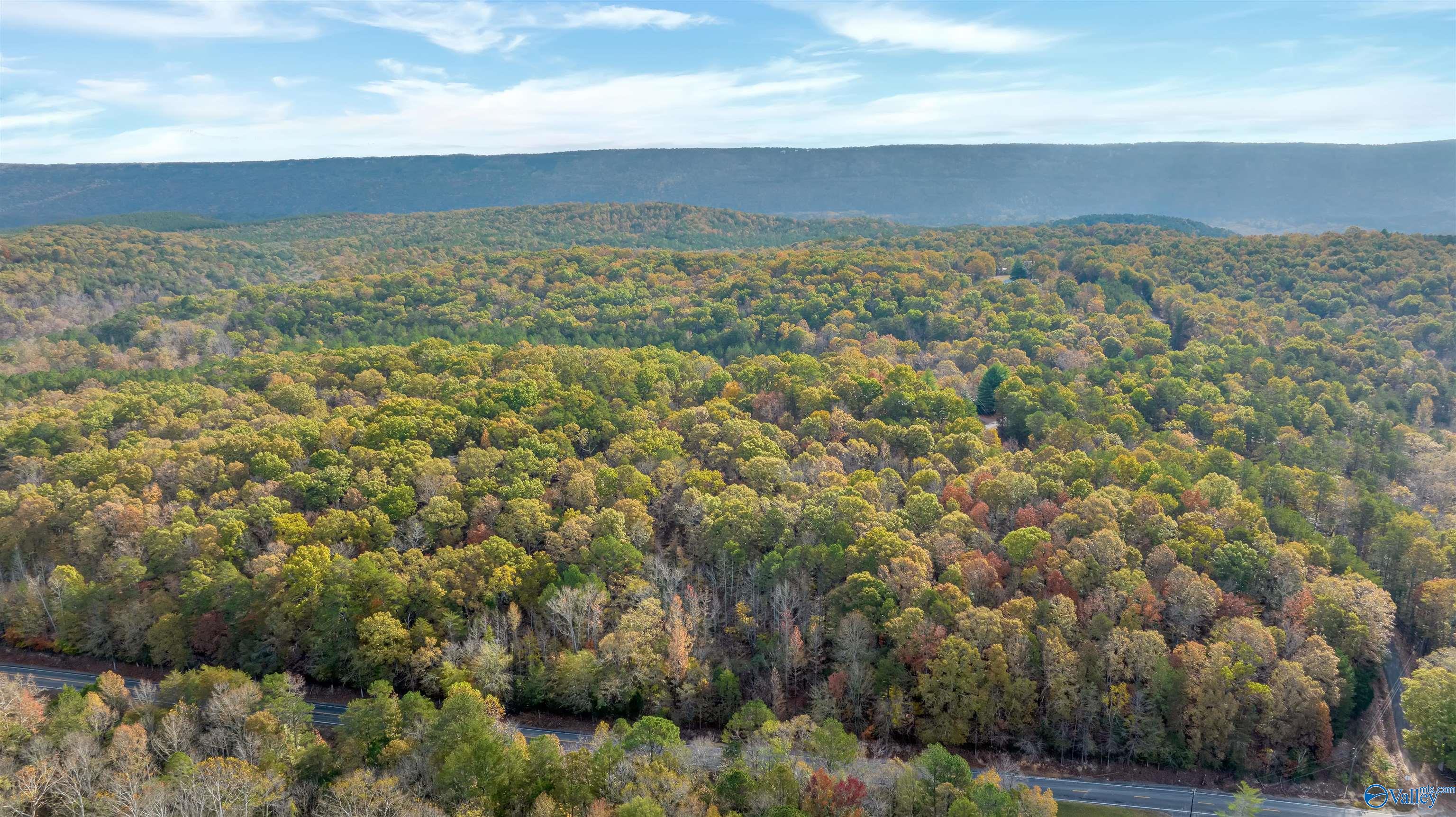 4.9 Acres Off Us Highway 11, Valley Head, Alabama image 10