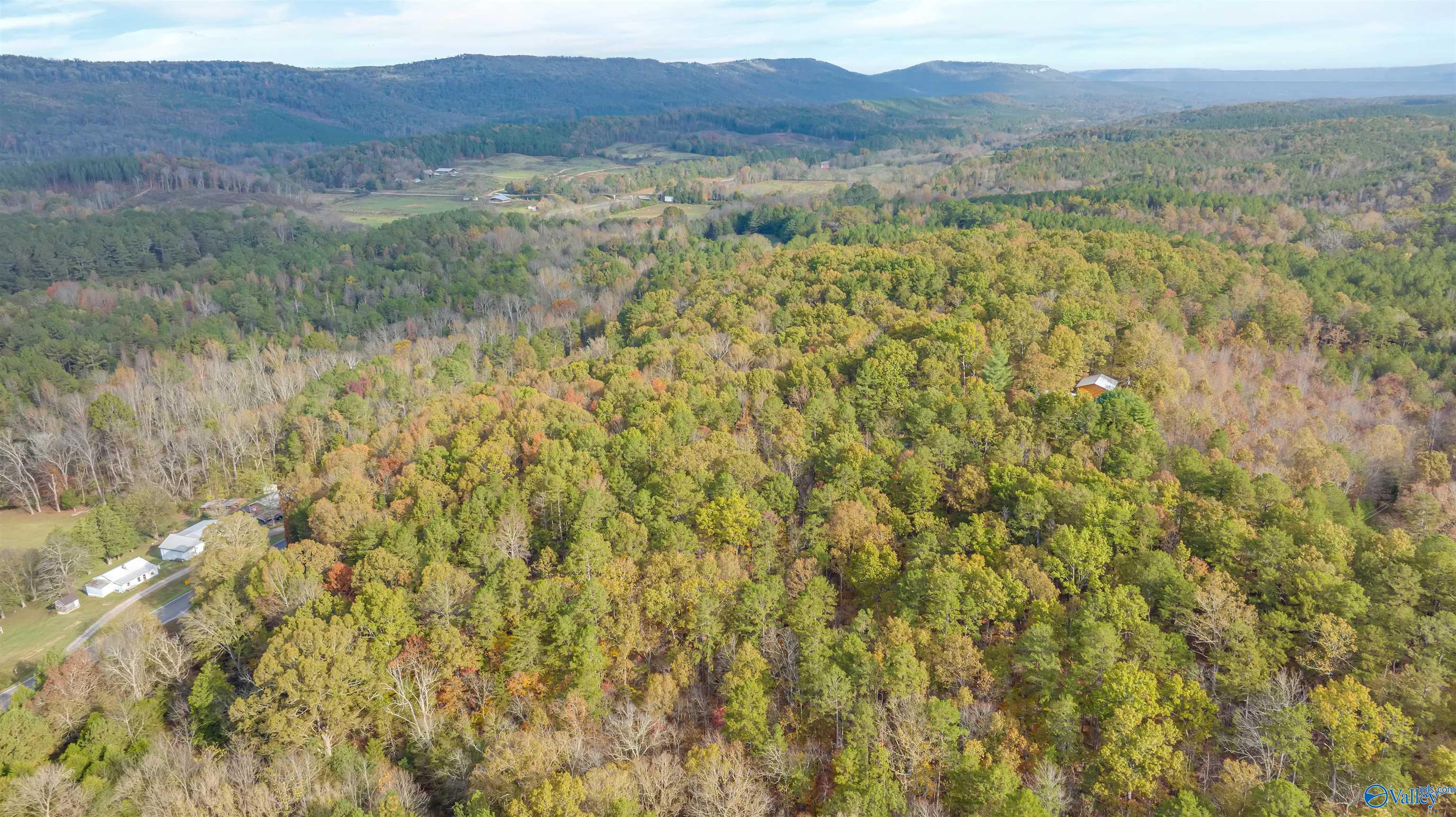 4.9 Acres Off Us Highway 11, Valley Head, Alabama image 7