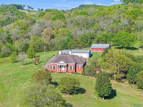 Homes For Sale - 954 Molino Road<br/> Fayetteville, TN 37334