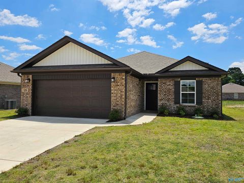 Homes For Sale - 125 Domingues Avenue<br/> Madison County, Meridianville, AL 35759