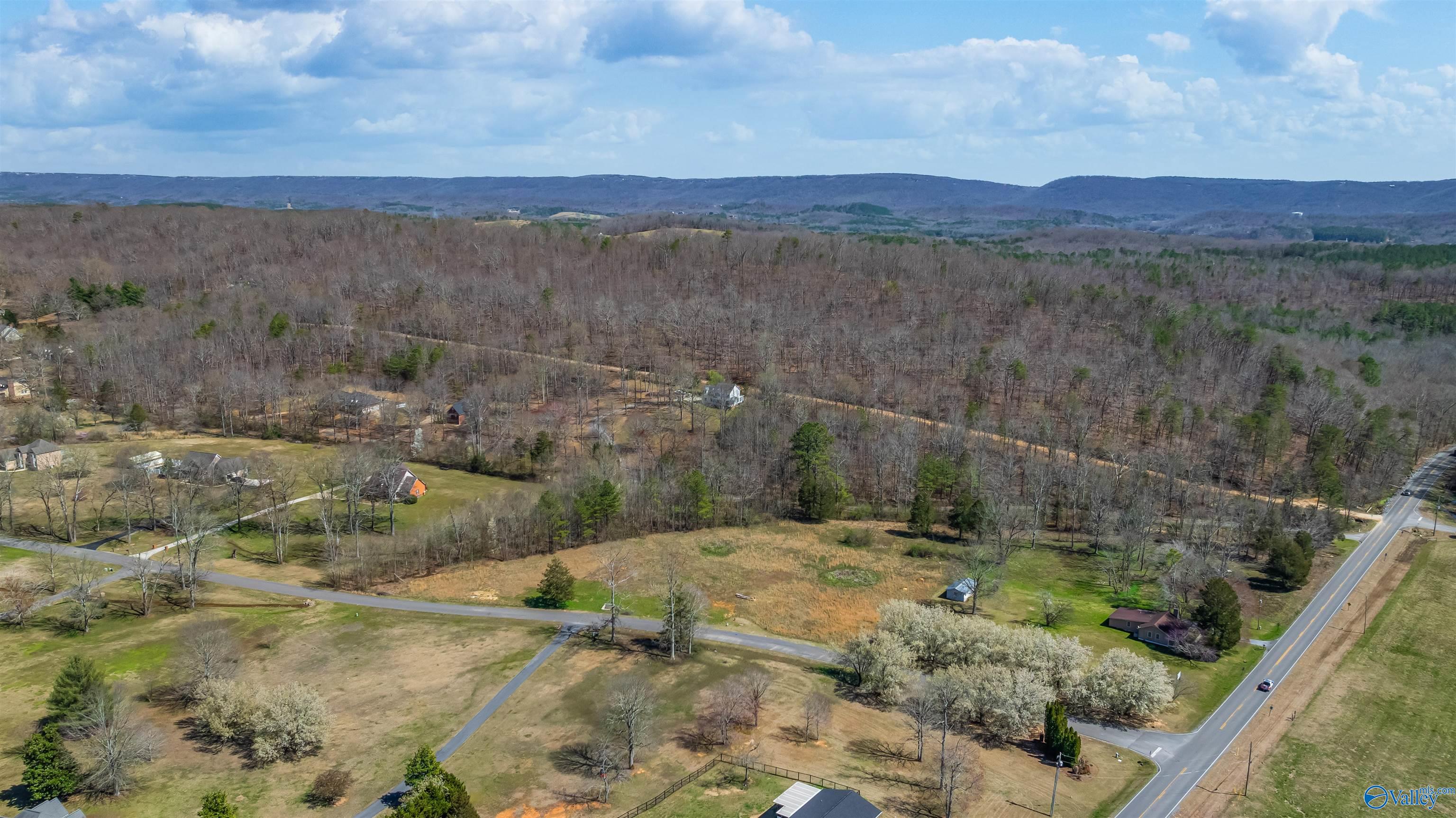 3.42 County Road 622, Valley Head, Alabama image 12