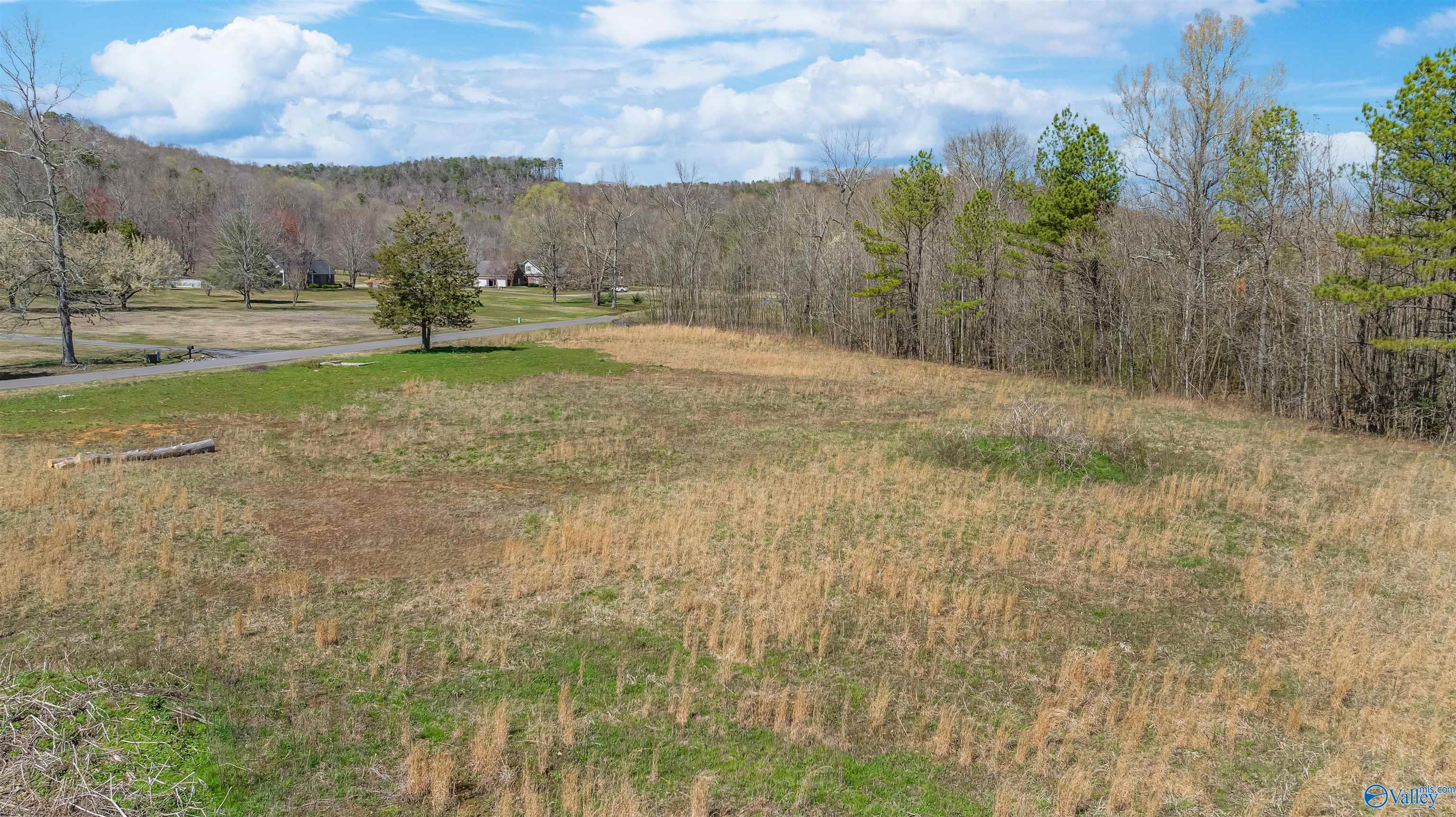 3.42 County Road 622, Valley Head, Alabama image 6