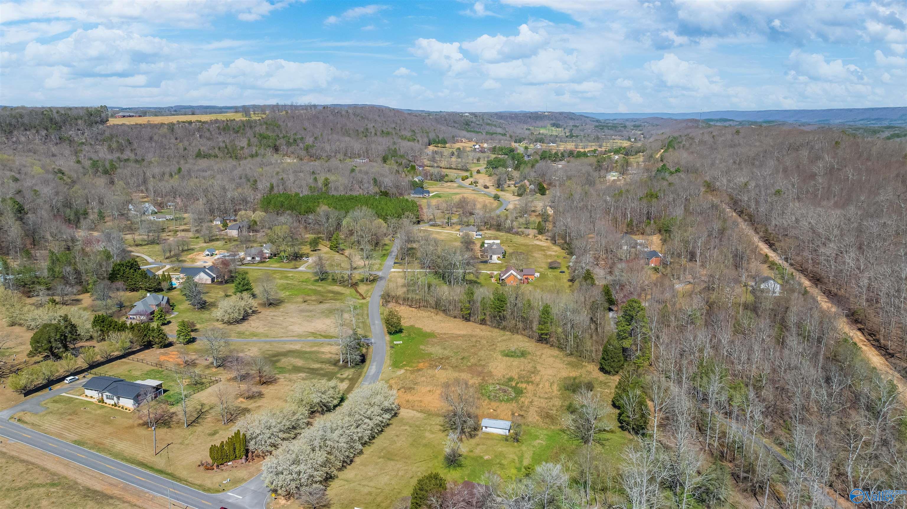 3.42 County Road 622, Valley Head, Alabama image 10