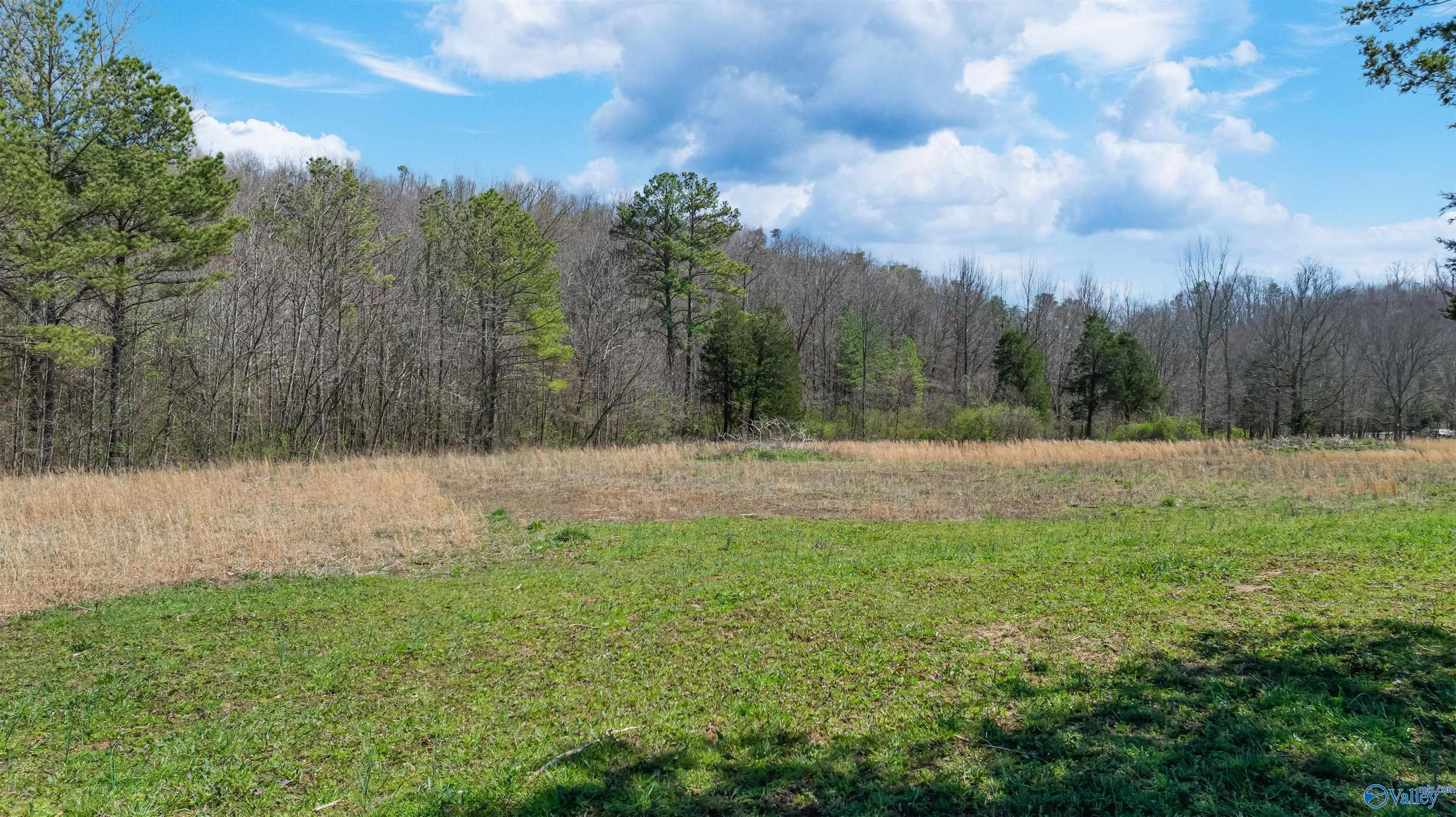 3.42 County Road 622, Valley Head, Alabama image 4