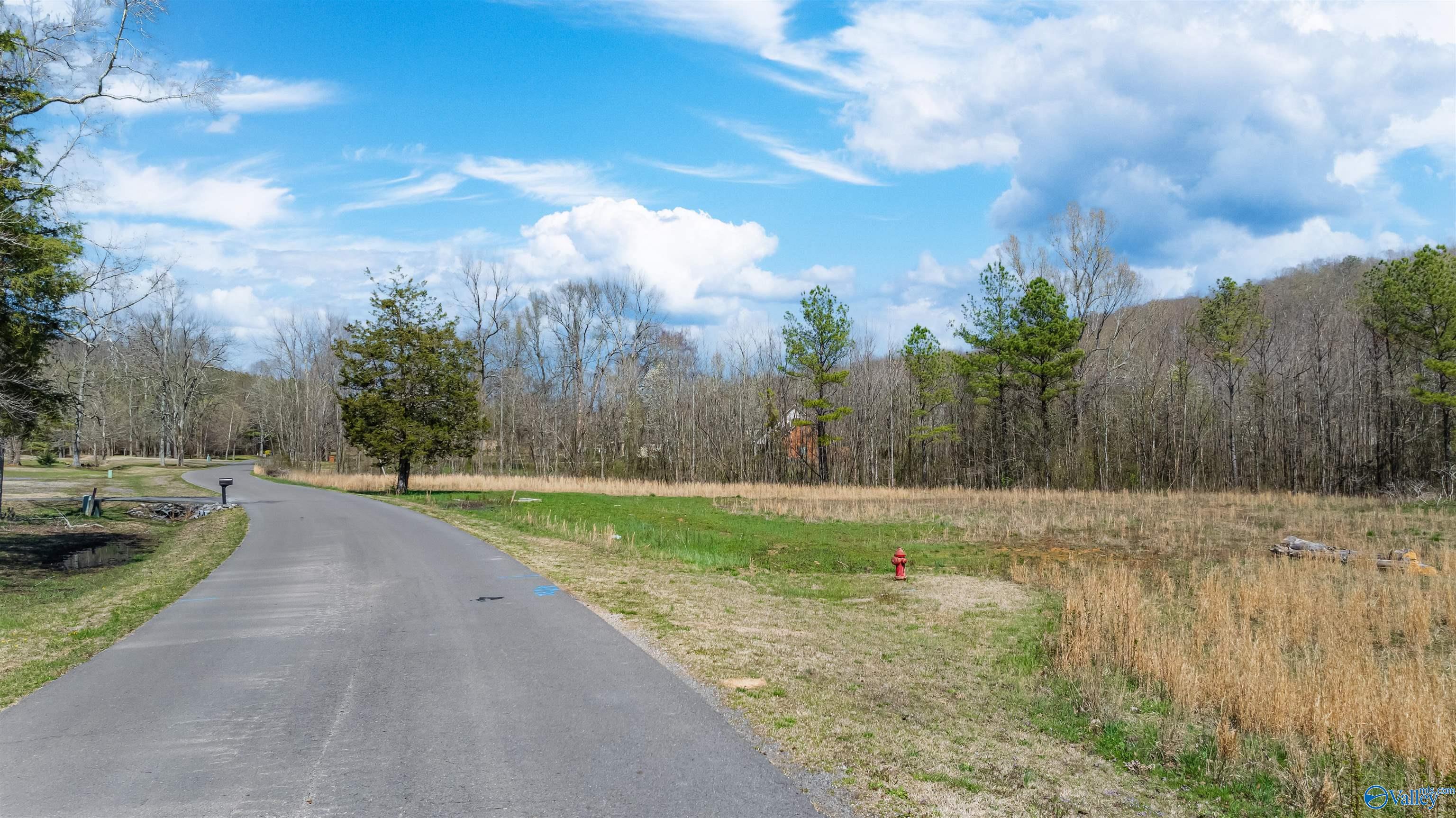 3.42 County Road 622, Valley Head, Alabama image 1