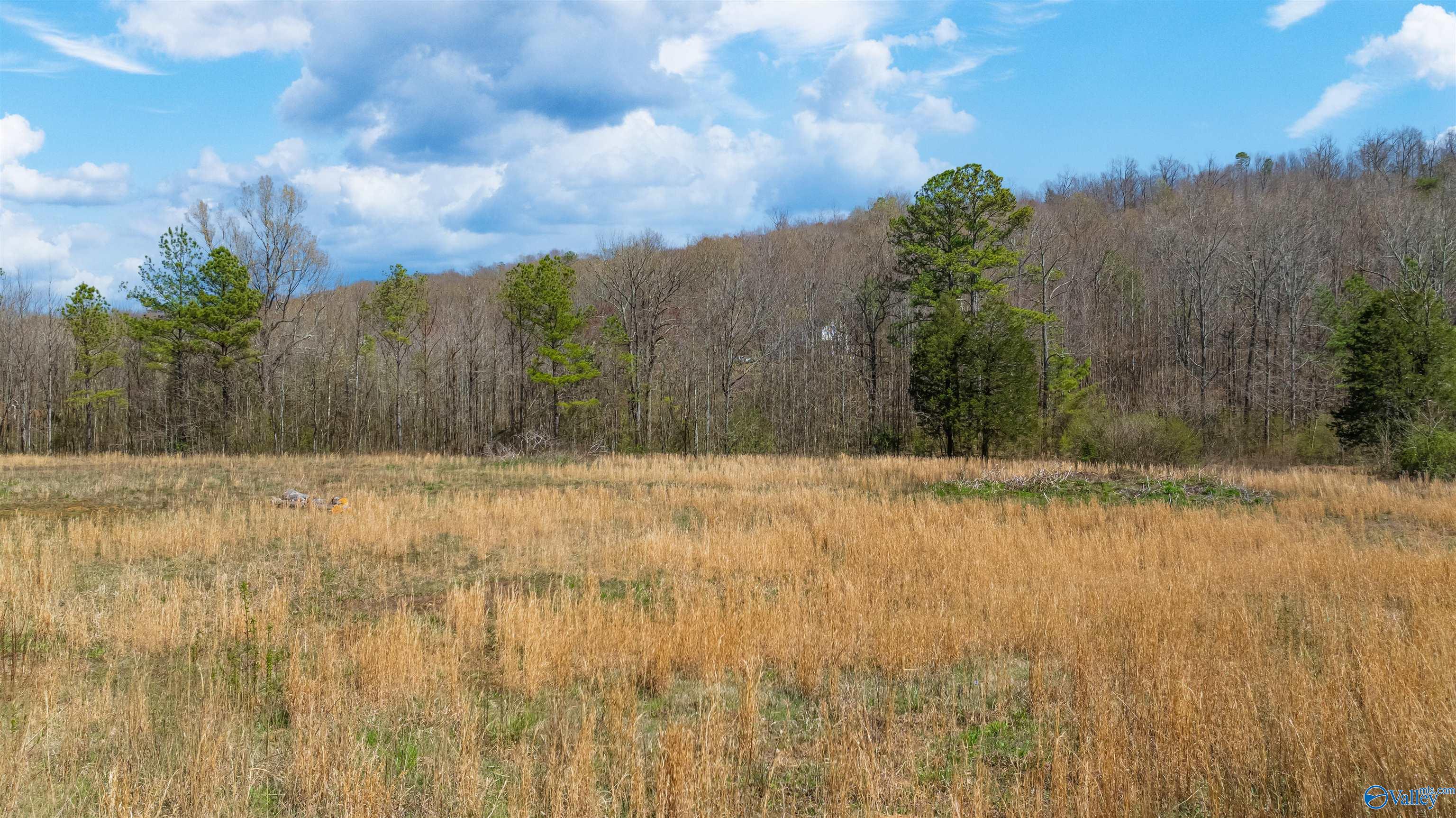 3.42 County Road 622, Valley Head, Alabama image 3