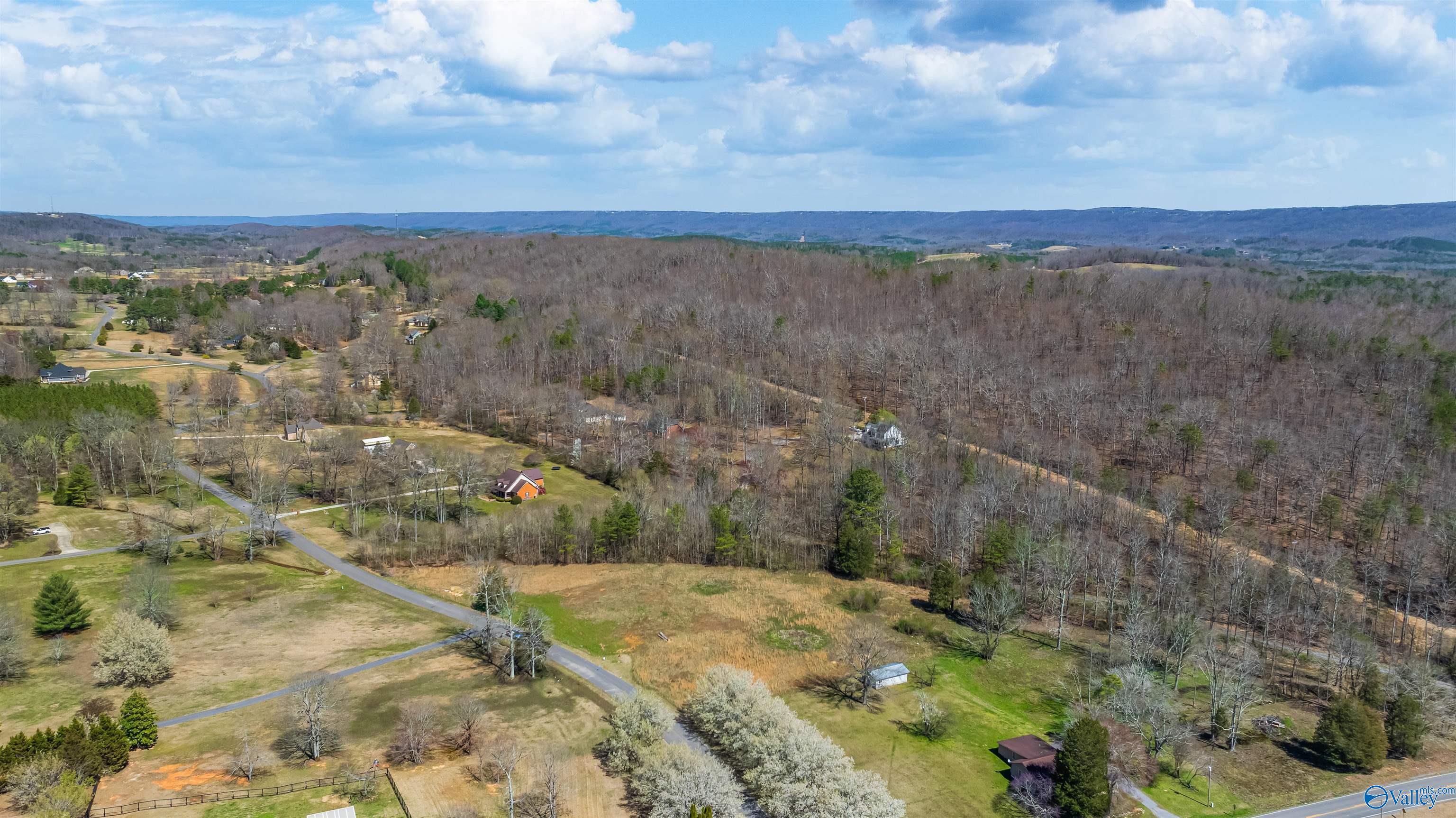 3.42 County Road 622, Valley Head, Alabama image 11