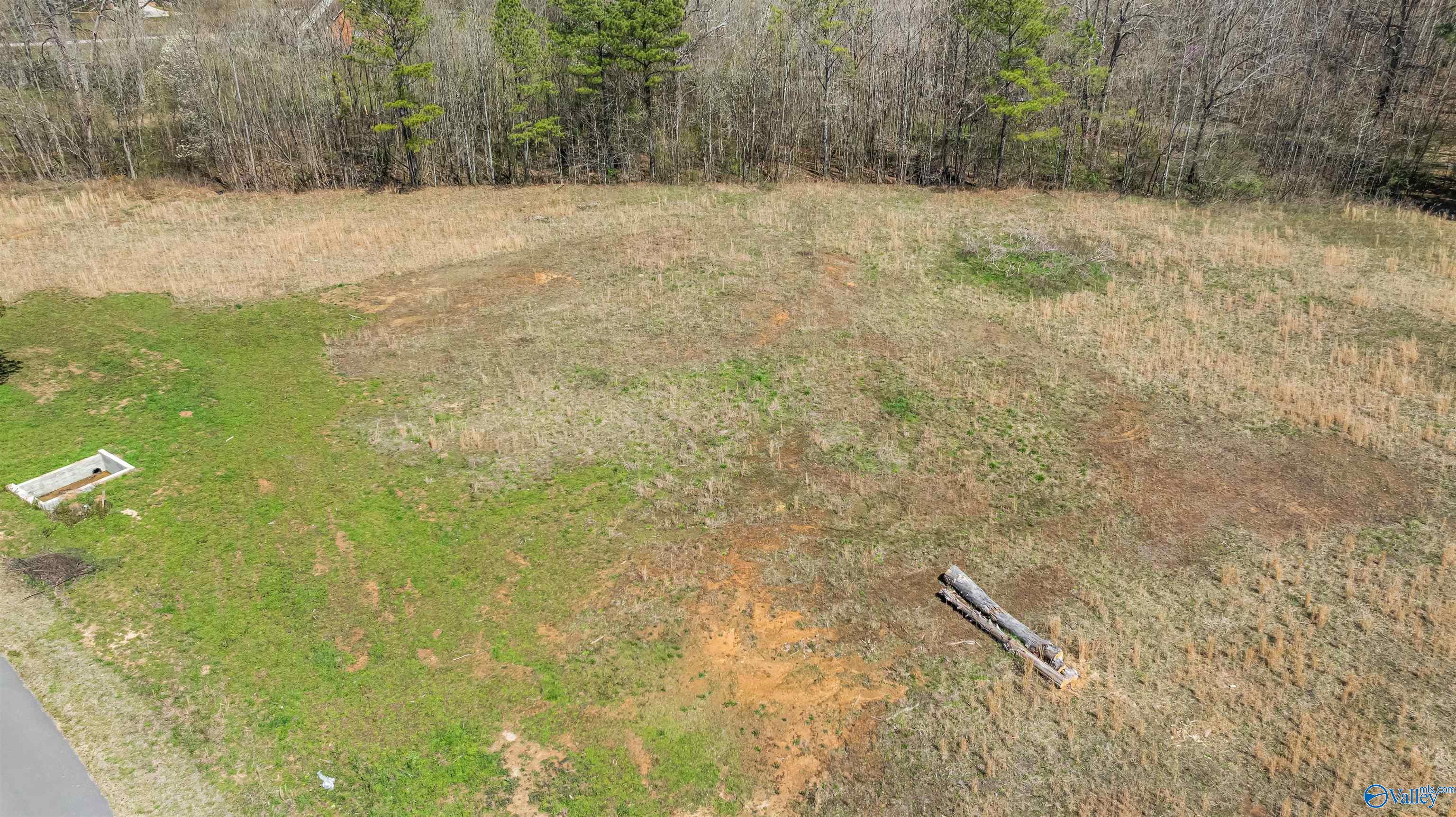 3.42 County Road 622, Valley Head, Alabama image 8