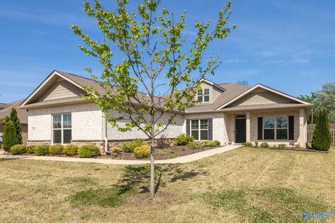 Photo of 7040 Regency Lane, Gurley, AL 35748 (MLS # 21916892)