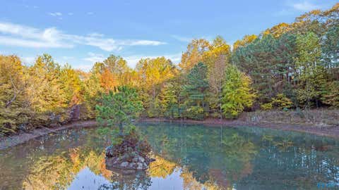 Homes For Sale - 10.57 ACRES County Road 166<br/> Fort Payne, AL 35967