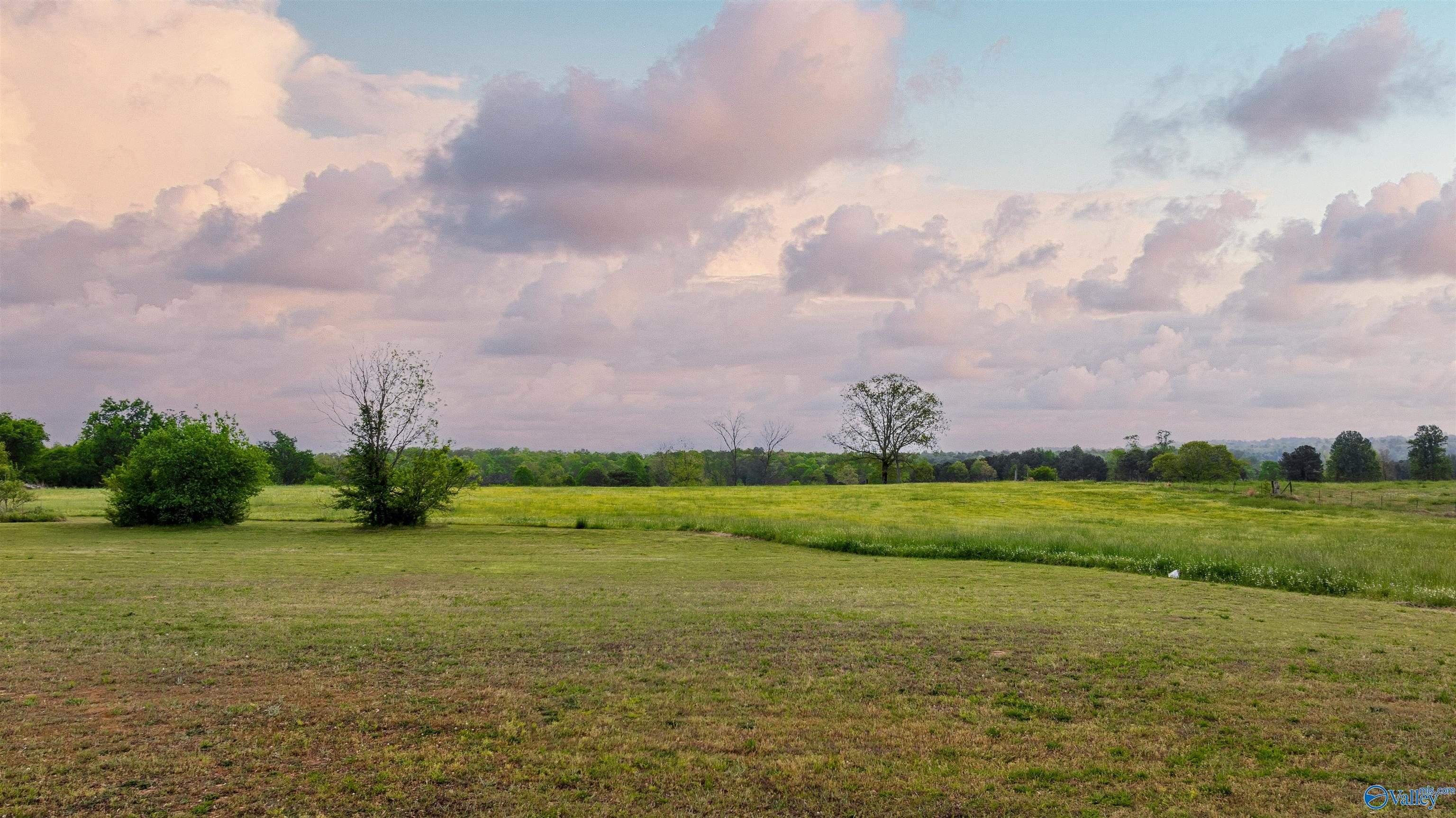 586 E County Road 152, Section, Alabama image 9