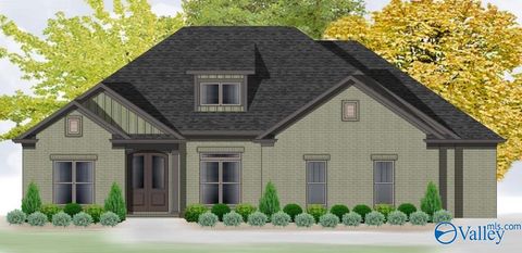 Homes For Sale - JORDAN PLAN Goose Ridge Drive<br/> Owens Cross Roads, AL 35763