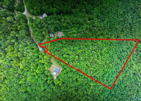 Vacant Land For Sale - 16 ACRES County Road 1025<br/> Fort Payne, AL 35967