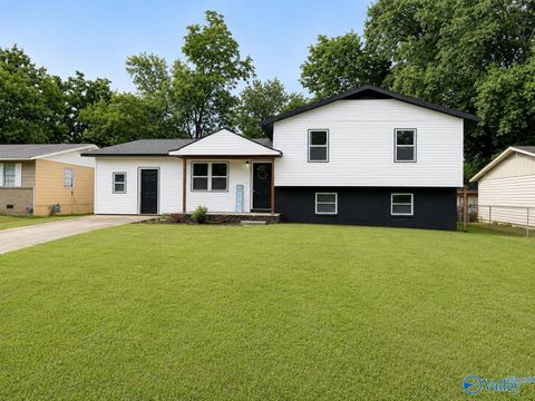 Photo of 517 Lisa Lane NW, Huntsville, AL 35811 (MLS # 21919381)