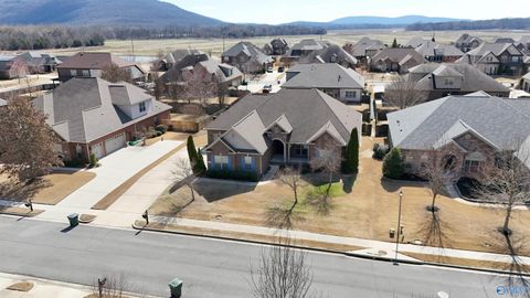 Homes For Sale - 3005 Laurel Cove Way<br/> Gurley, AL 35748