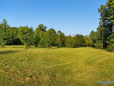 Vacant Land For Sale - 21.25 ACRES Hopewell Road<br/> Guntersville, AL 35976
