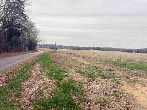 Vacant Land For Sale - 32 ACRES Hogan Road<br/> Falkville, AL 35622