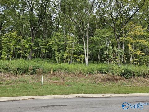 Vacant Land For Sale - 4107 Devon Street<br/> Huntsville, AL 35802