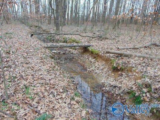 106 BOBO SECTION RD, HAZEL GREEN, AL 35750 - Image e9b7f3baaeef6b668f69da8efcbdaa19/1959849424