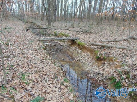 Vacant Land For Sale - 11 Bobo Section Road<br/> Hazel Green, AL 35750