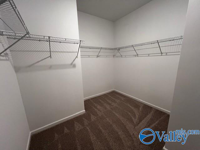 12553 Buck Road, Athens, Alabama image 11