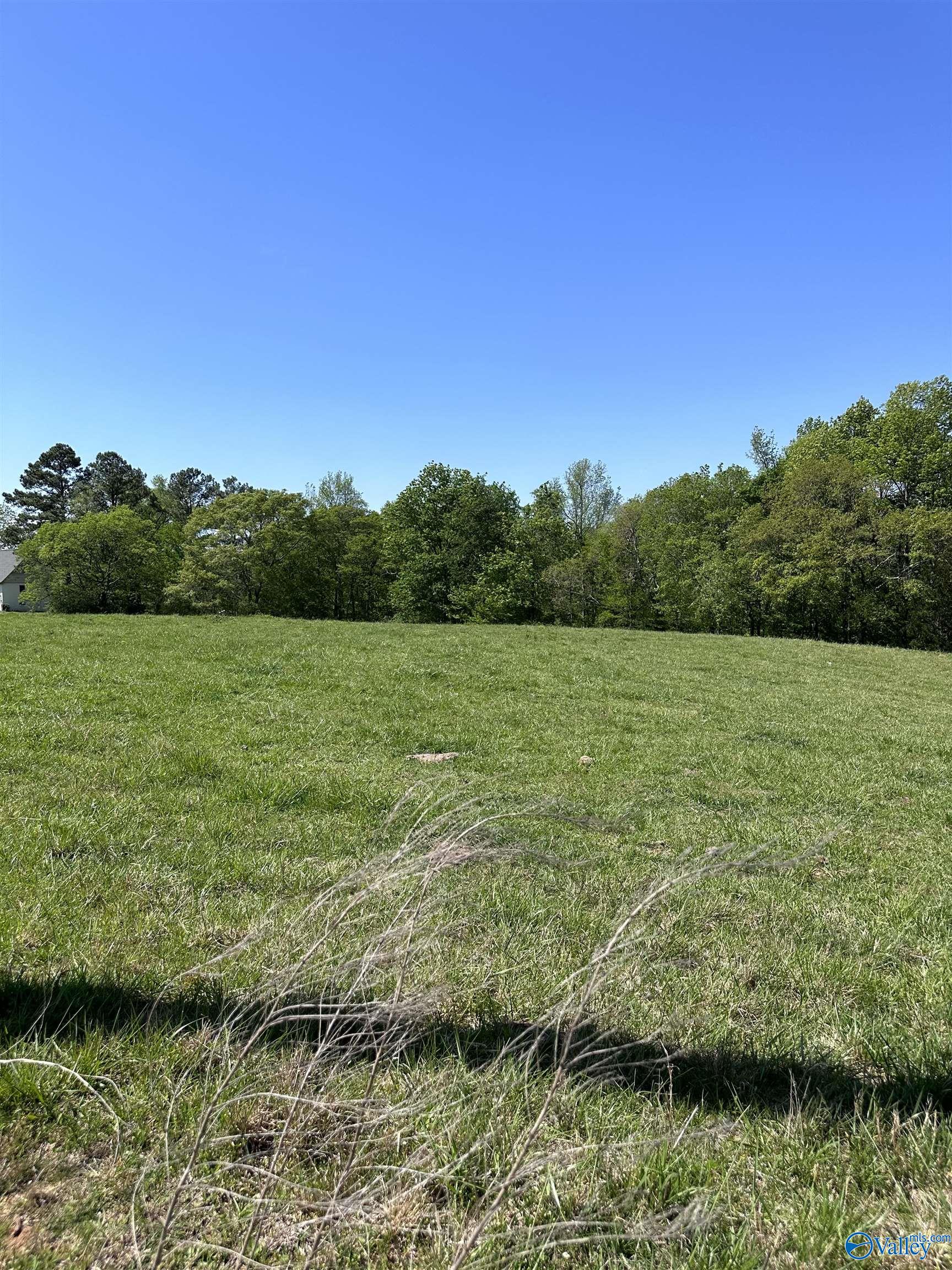 75 Acres Upper Fort Hampton Road, Elkmont, Alabama image 1