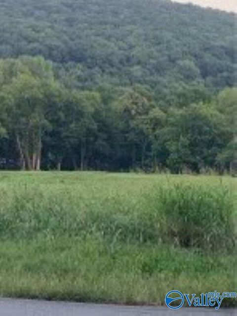 Vacant Land For Sale - 1144 Upper Hurricane Road<br/> New Market, AL 35761