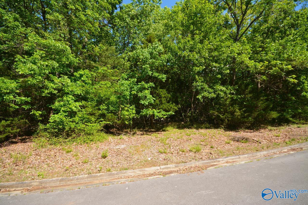 Lot 31 Burlington Drive, Huntsville, Alabama image 3