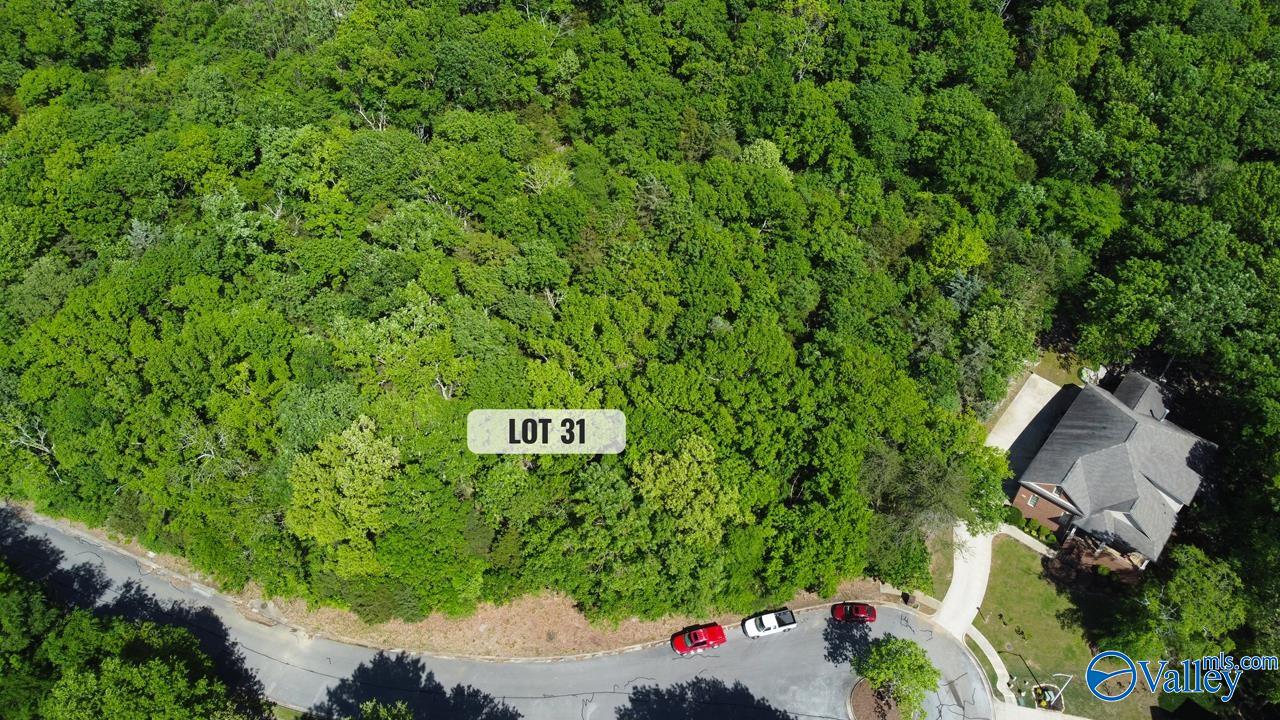 Lot 31 Burlington Drive, Huntsville, Alabama image 4