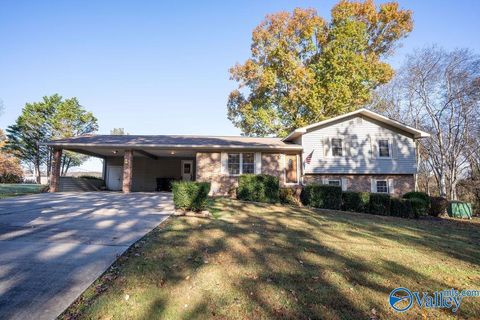 Homes For Sale - 6502 Banks Drive<br/> Fort Payne, AL 35967