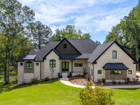 Homes For Sale - 435 River Ridge Road<br/> Etowah County, Gadsden, AL 35901