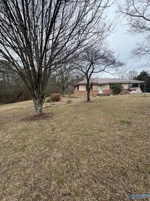 Photo of 16168 Highway 75, Henagar, AL 35978 (MLS # 21909323)