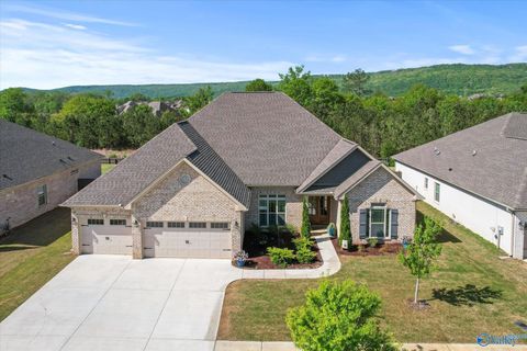 Homes For Sale - 7440 Flint Crossing Circle<br/> Owens Cross Roads, AL 35763