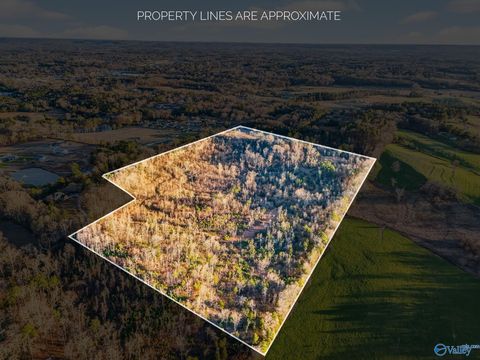 Vacant Land For Sale - W W Moss Chapel Road<br/> Hartselle, AL 35640