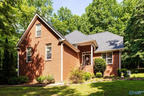 Homes For Sale - 242 County Road 555<br/> Dekalb County, Valley Head, AL 35989