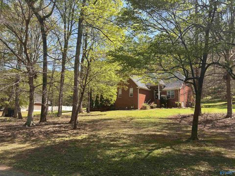 Homes For Sale - 242 County Road 555<br/> Valley Head, AL 35989
