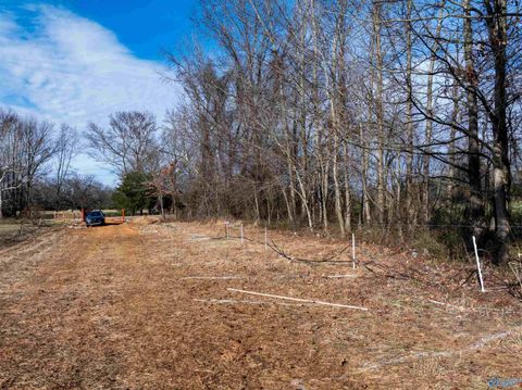Vacant Land For Sale - 2670 County Road 165<br/> Moulton, AL 35650