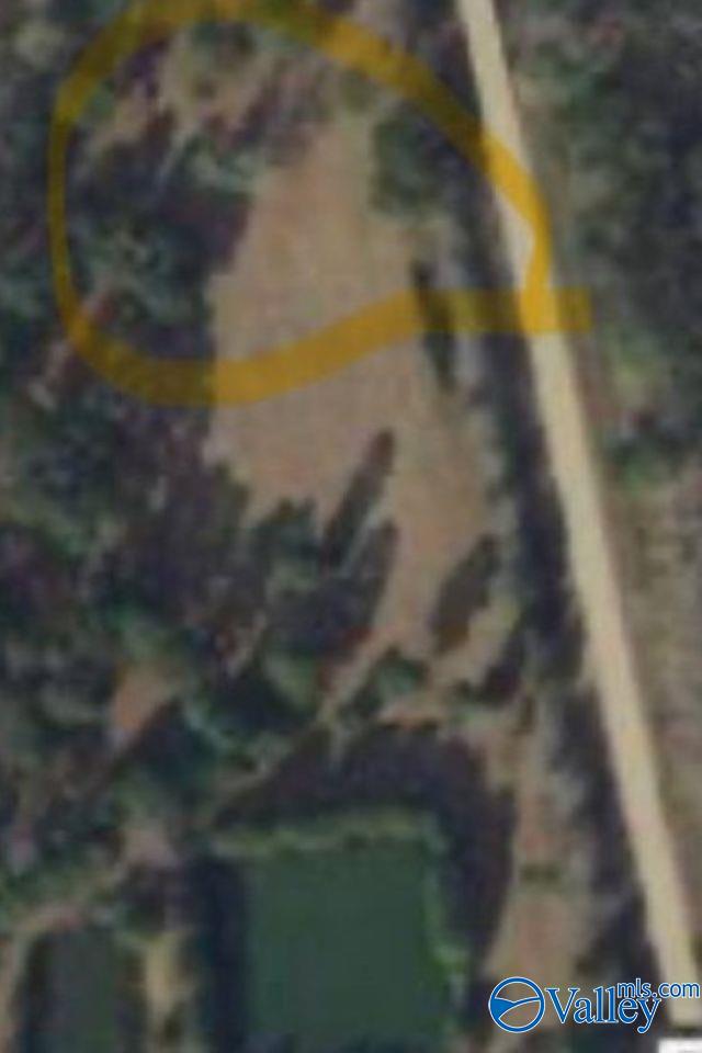 6985 Hwy 53, Toney, Alabama image 1