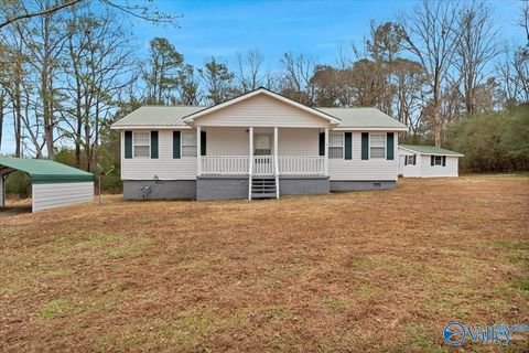 Photo of 7048 Apple Grove Road, Baileyton, AL 35019 (MLS # 21905589)