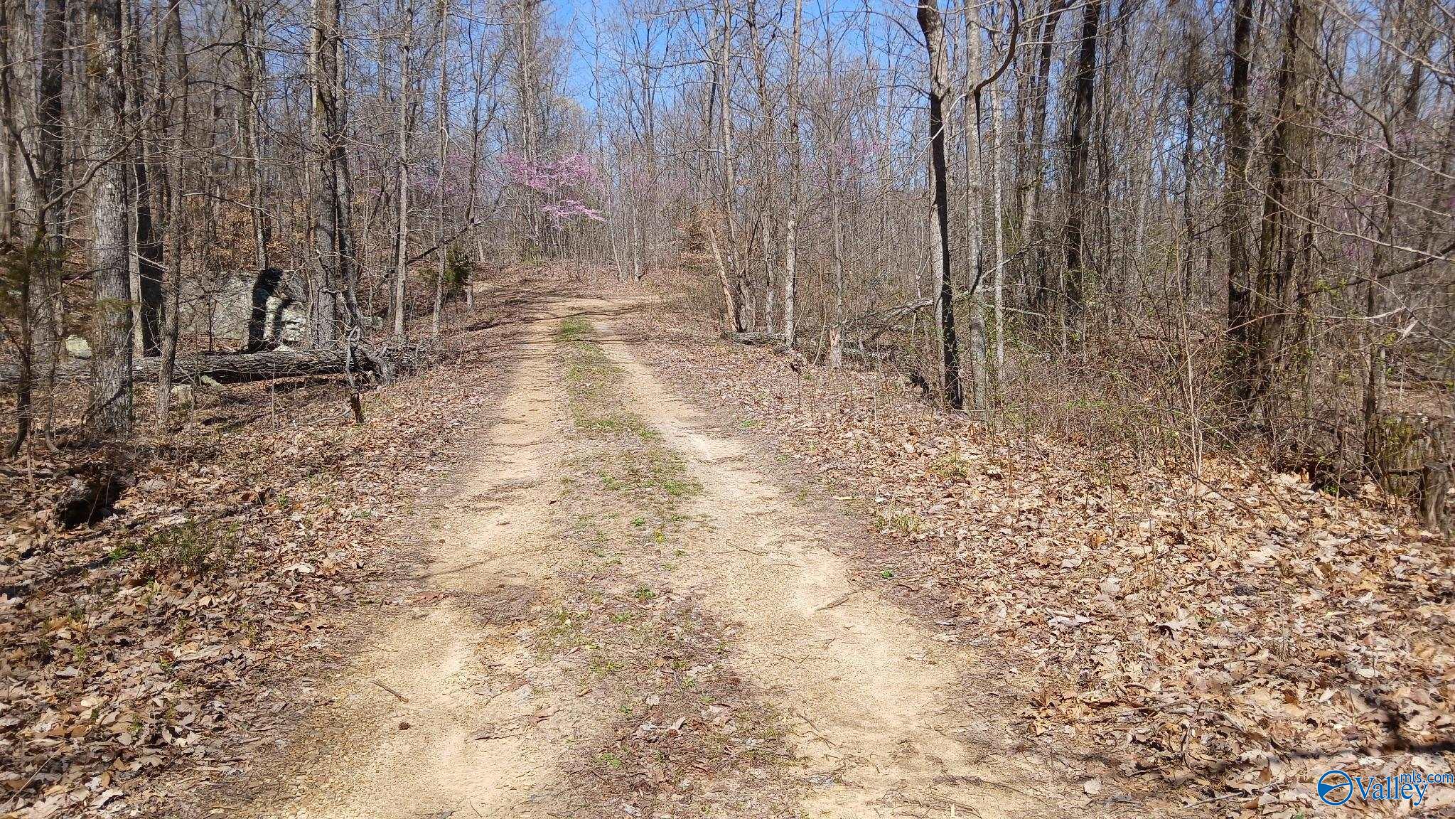 377 Blowing Cave Road, Gurley, Alabama image 4