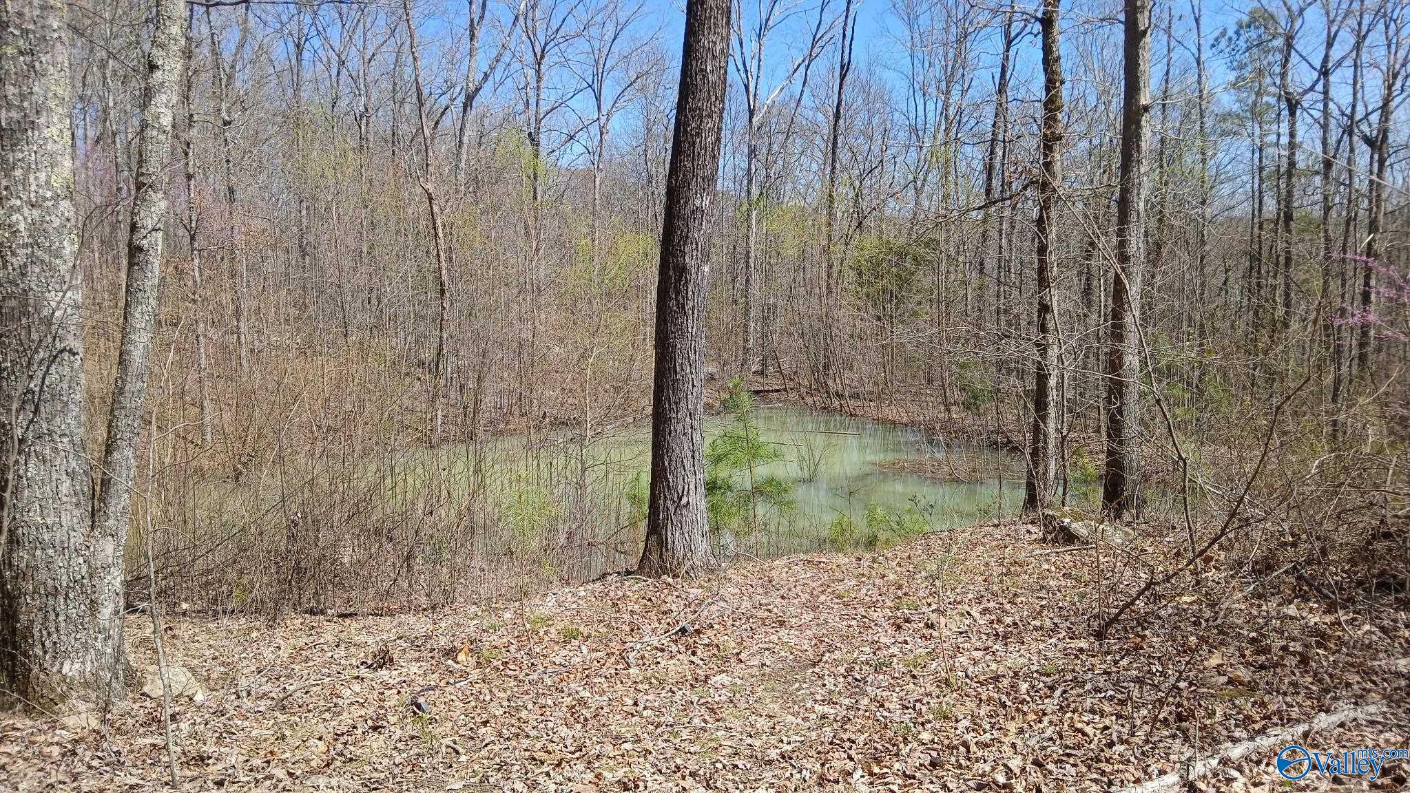 377 Blowing Cave Road, Gurley, Alabama image 3