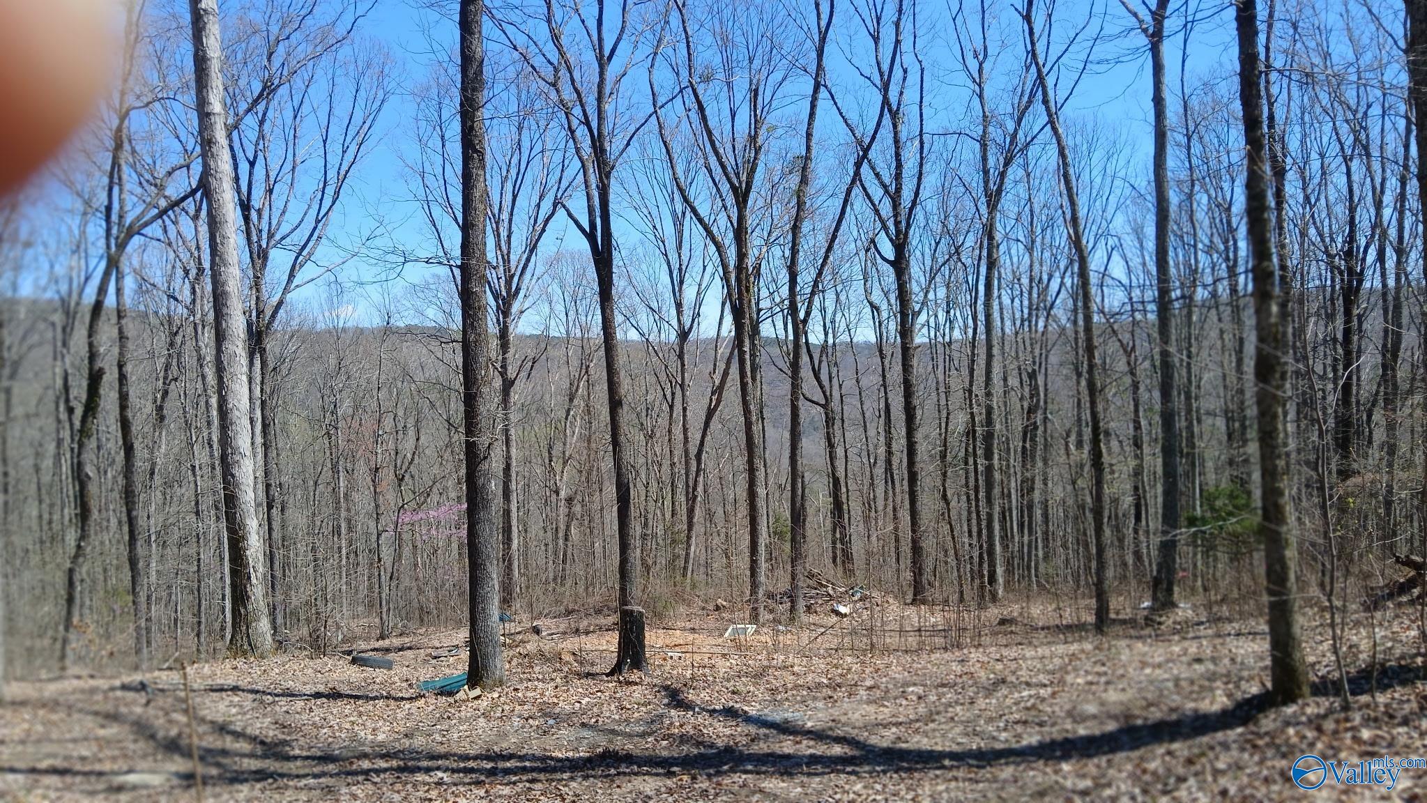 377 Blowing Cave Road, Gurley, Alabama image 1