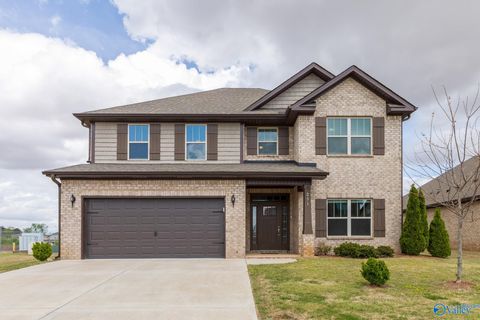 Homes For Sale - 251 Holt Street<br/> Meridianville, AL 35759