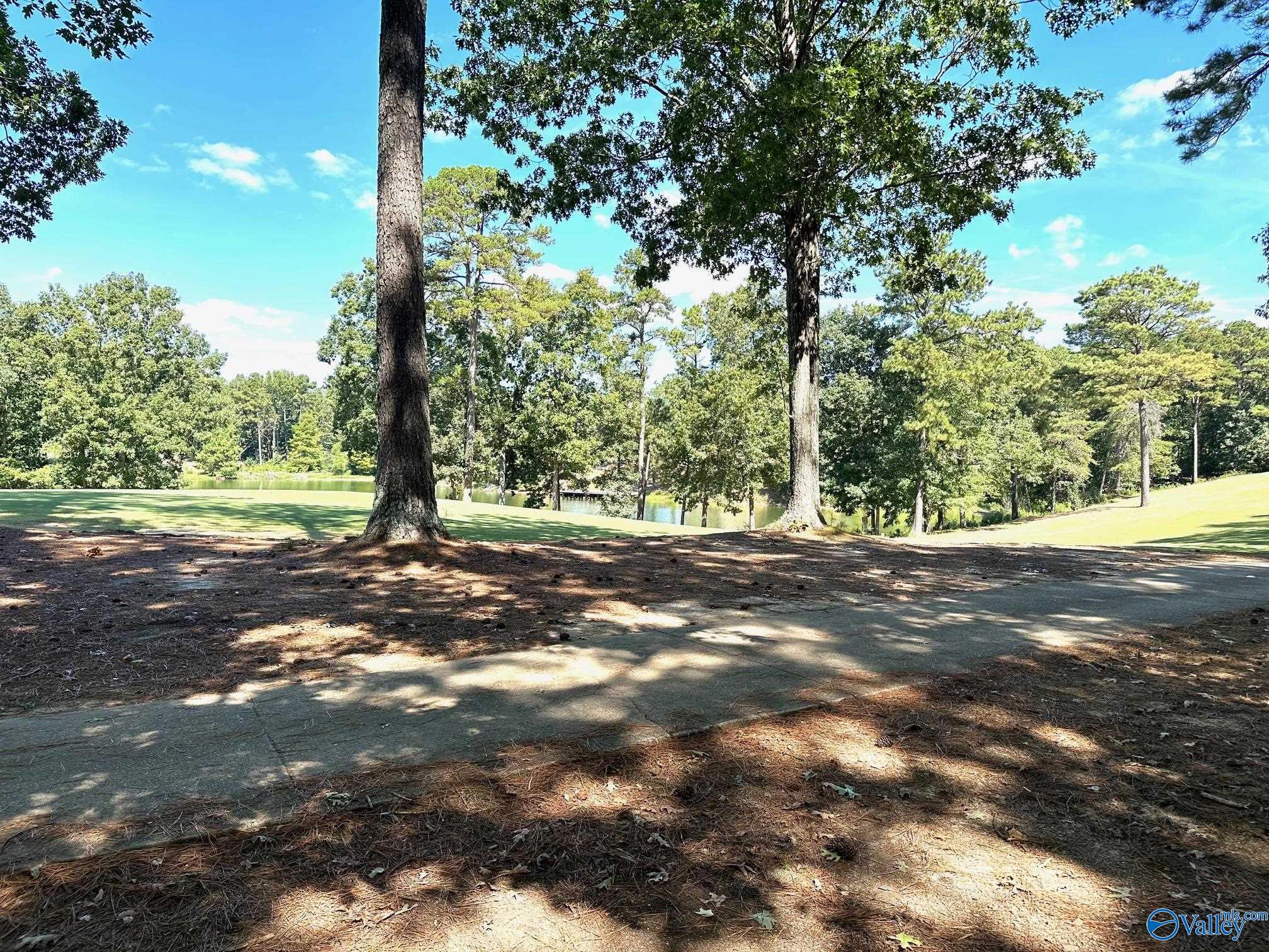 Lot 525/526 Falling Leaf Lane, Union Grove, Alabama image 2