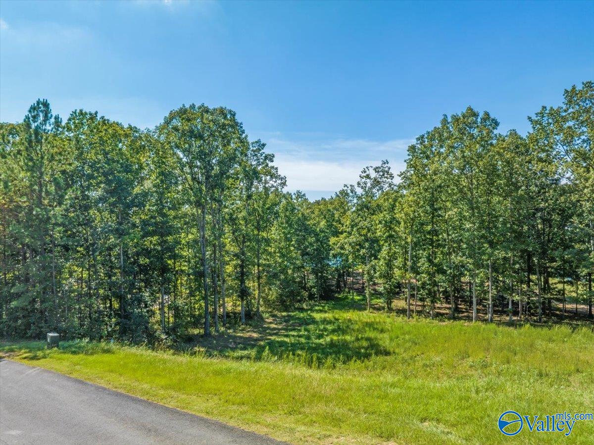 Lot 525/526 Falling Leaf Lane, Union Grove, Alabama image 5