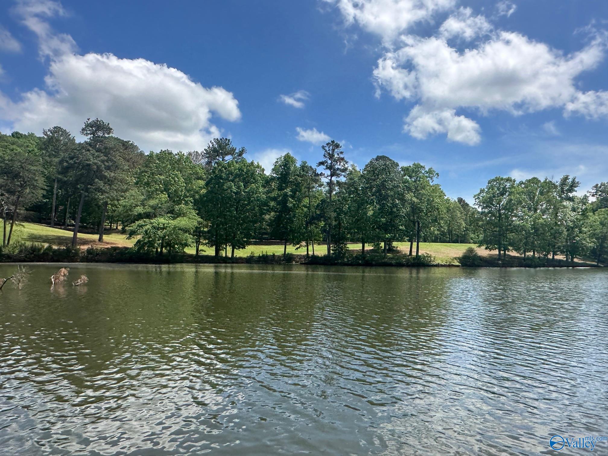 Lot 525/526 Falling Leaf Lane, Union Grove, Alabama image 22