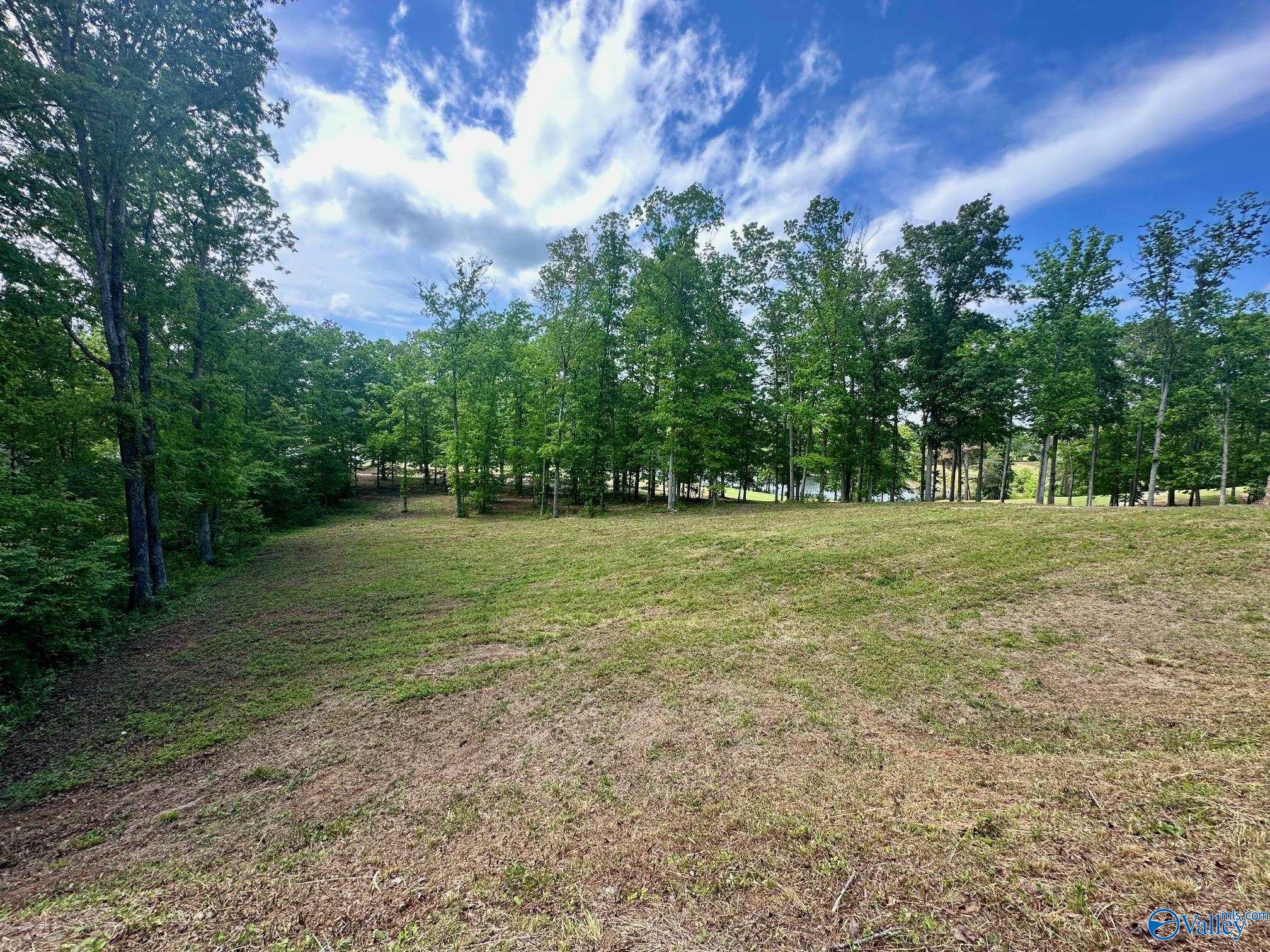 Lot 525/526 Falling Leaf Lane, Union Grove, Alabama image 36