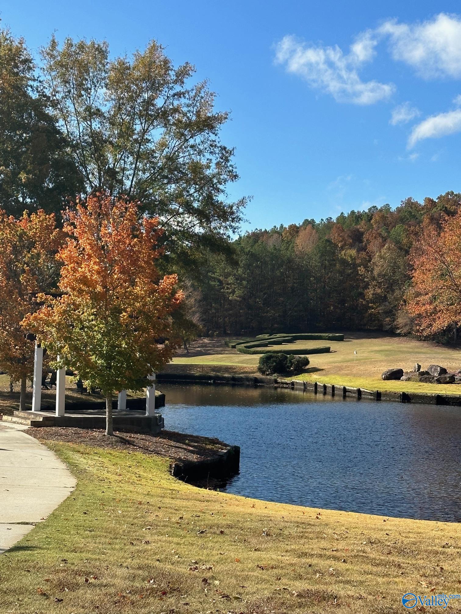 Lot 525/526 Falling Leaf Lane, Union Grove, Alabama image 9