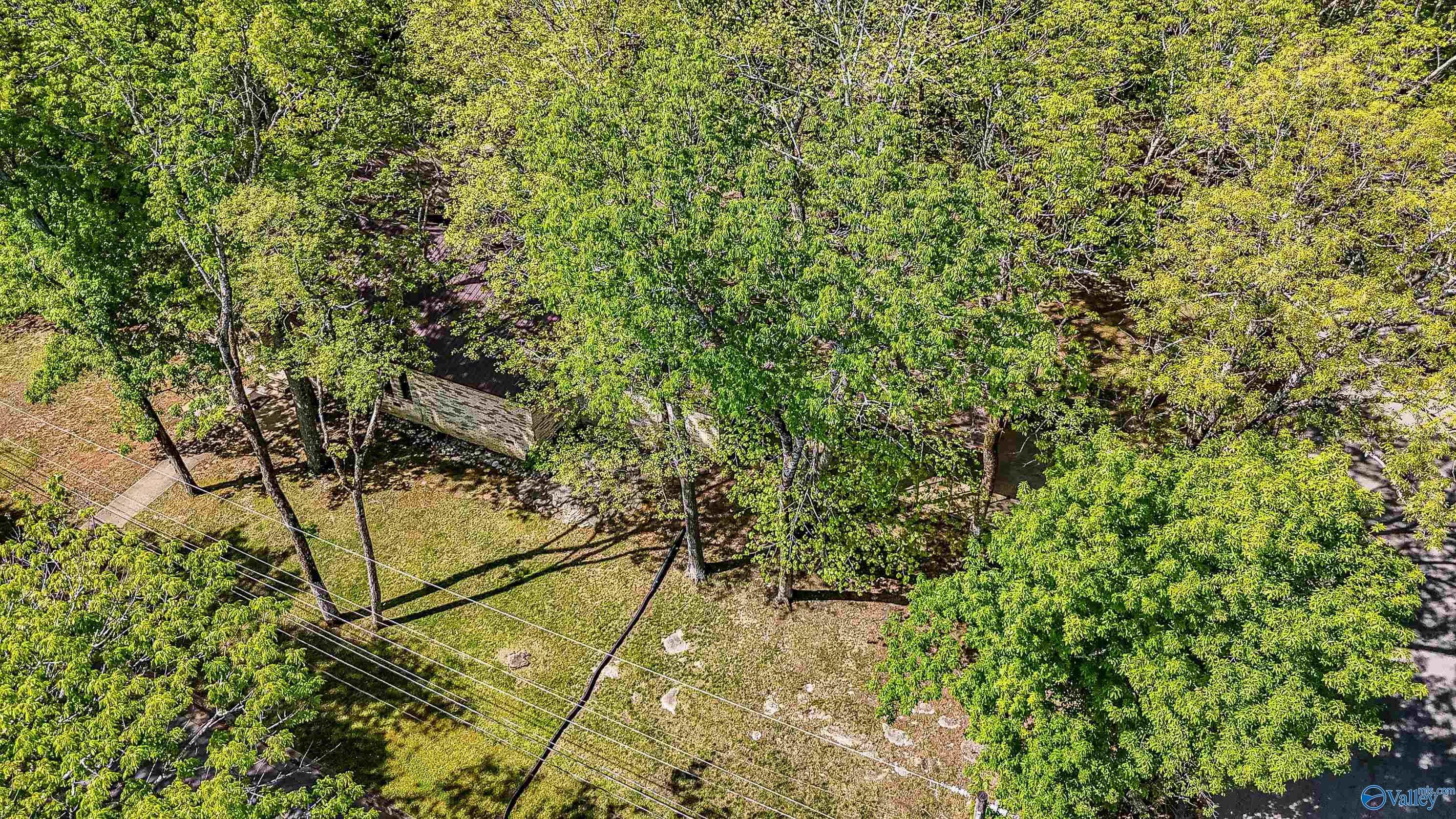 11009 Vivian Drive, Huntsville, Alabama image 41